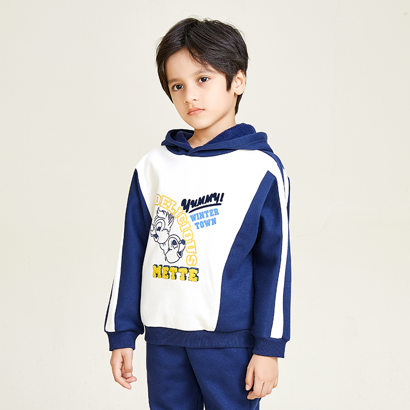 Blue and White Patchwork Squirrel Pattern Add Boys Hoodie